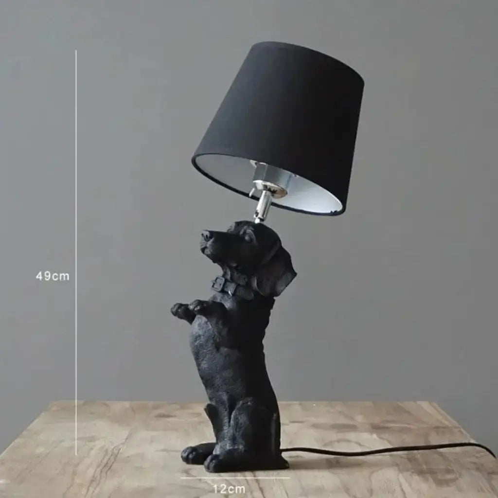 Chien Lampe Animaux