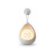 Lapin blanc